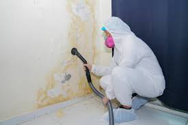 Trusted Winton, CA Mold Prevention & Removal  Experts